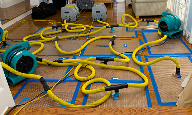 Professional Crawl Space Water Removal technician working in Yuma, TN